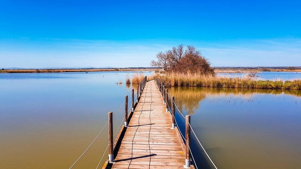 Appartement Proche Plage Ле-Гро-дю-Руа Экстерьер фото